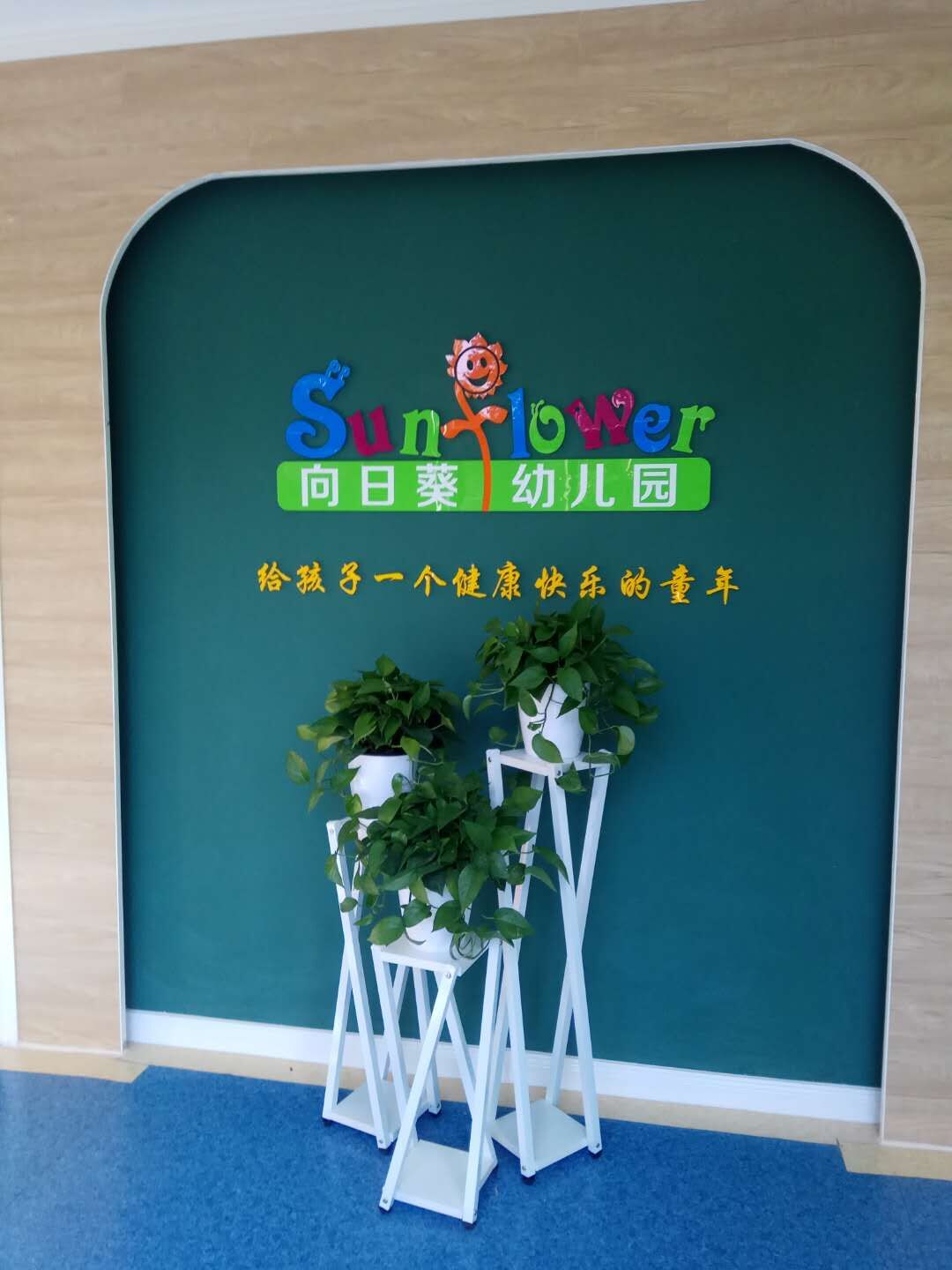 泰安向日葵幼儿园